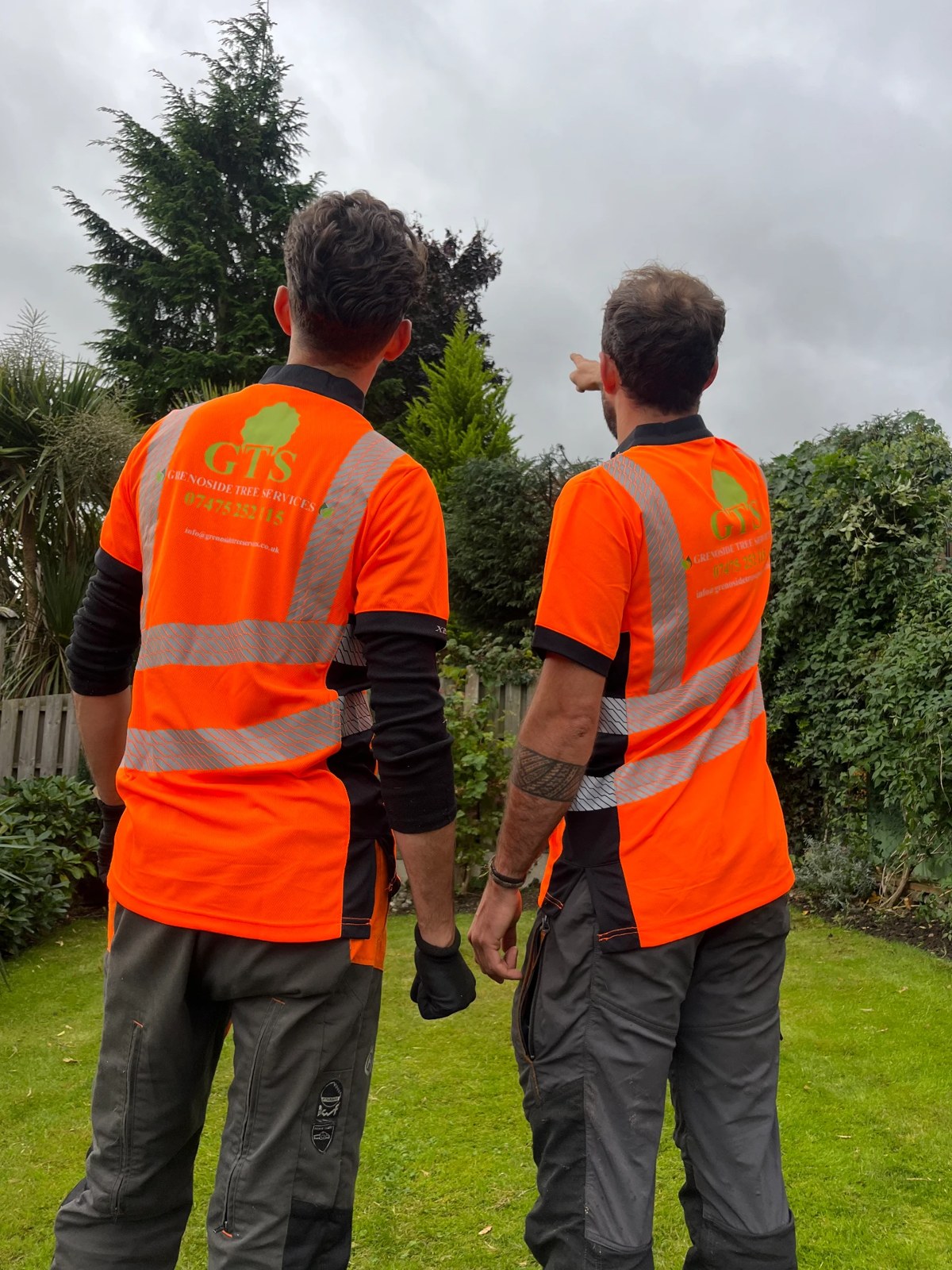 Grenoside Tree Services crew in branded hi-vis assessing a garden conifer